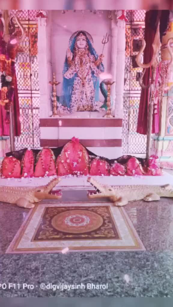 @digbhabharoli076