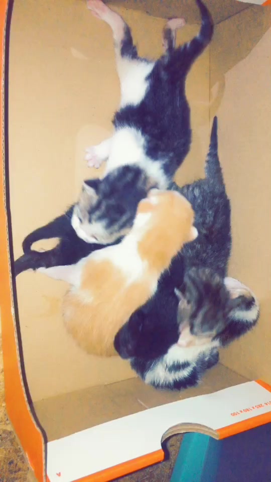 @baby.may-may💕