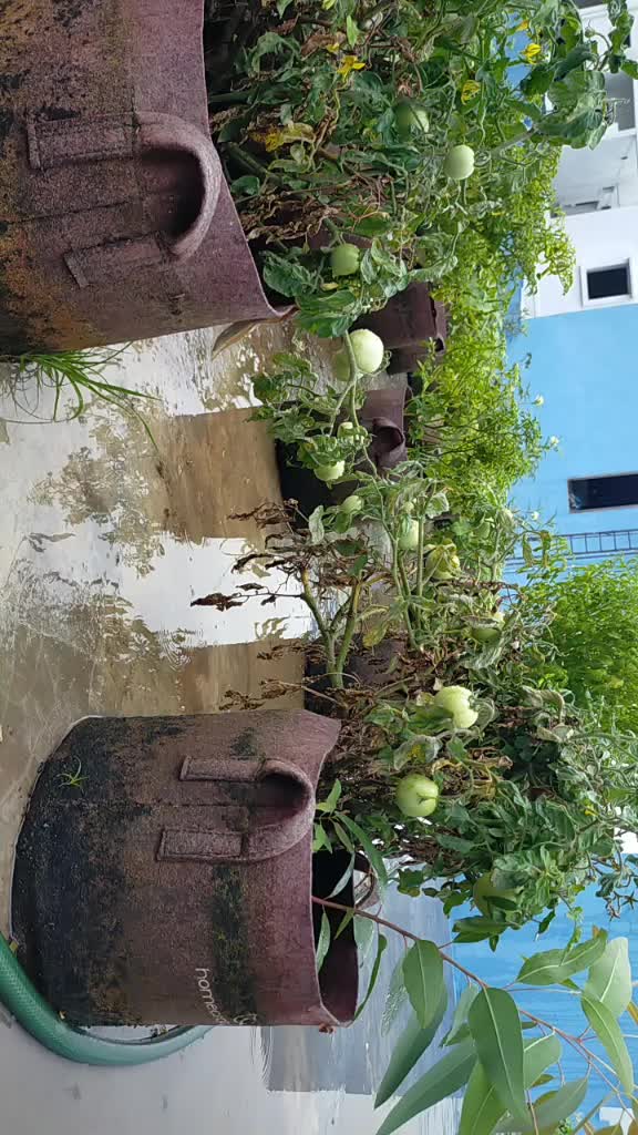 @Akula Naresh.goud🌴✊✊✊✊✊✊✊