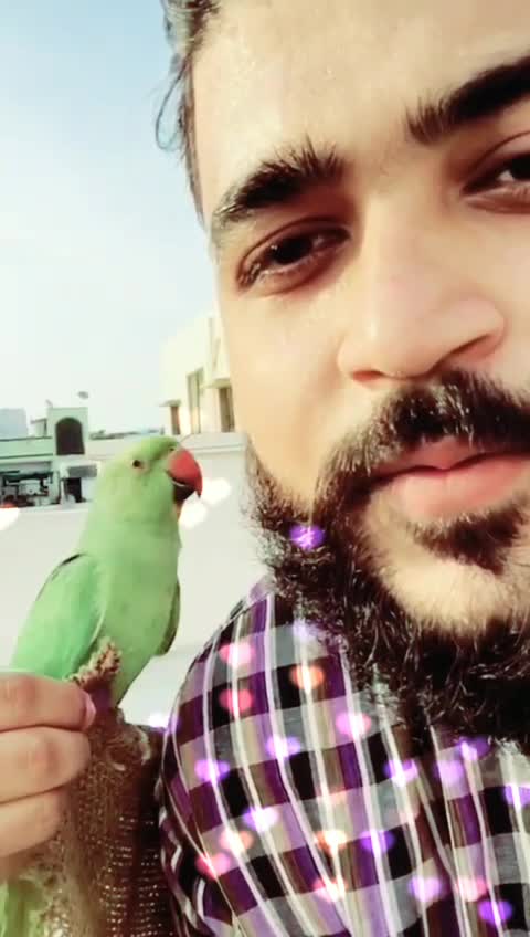 @Mohd Murtuza Ali