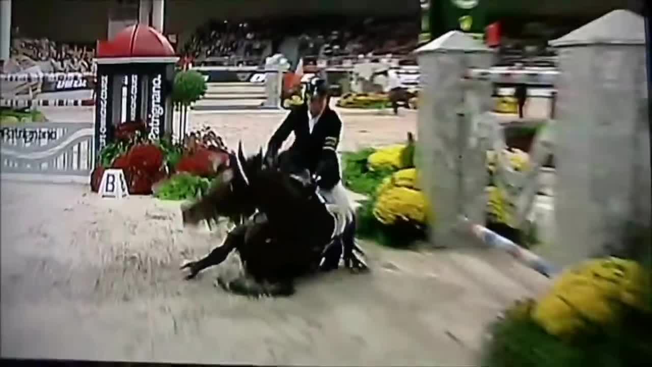 @Horses