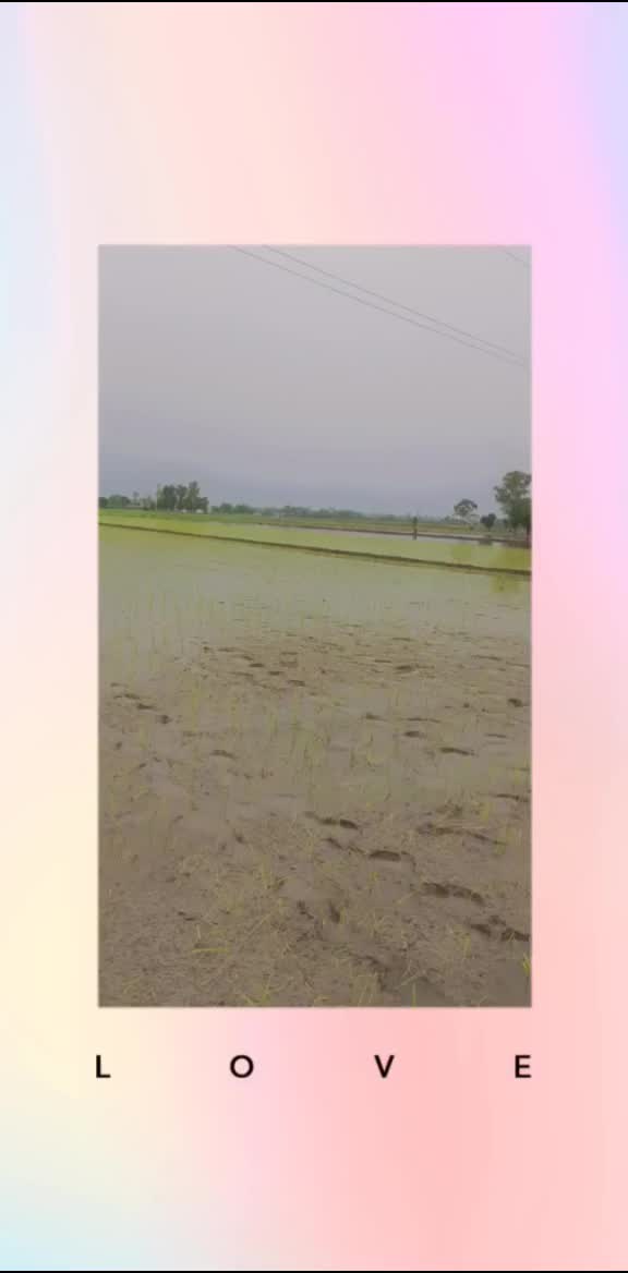 @bhullar shahkot 🥰🥰