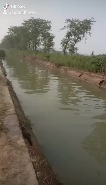 @Akshit007