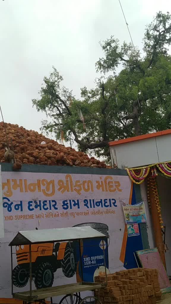 @Bharatsinh bapuસા