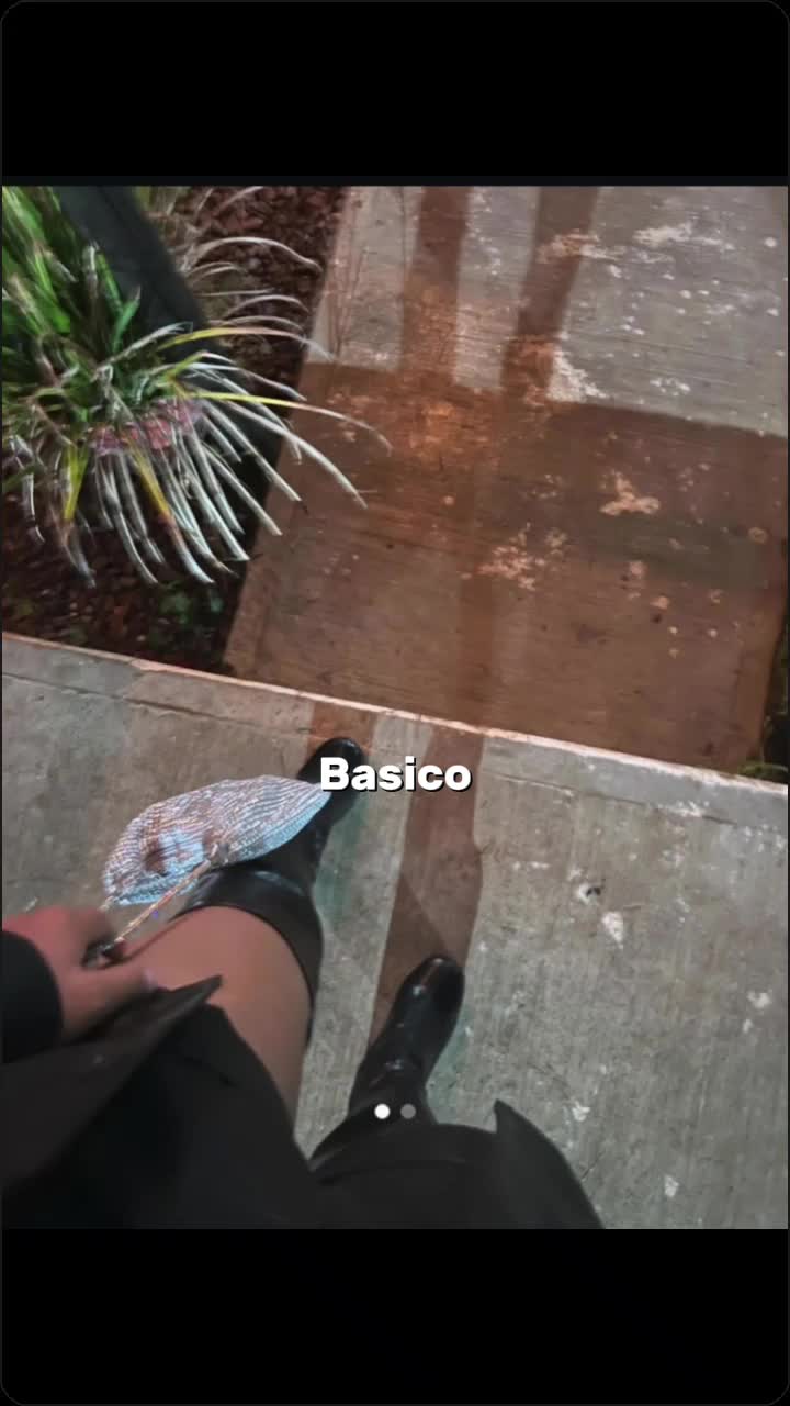 @Alex/a González