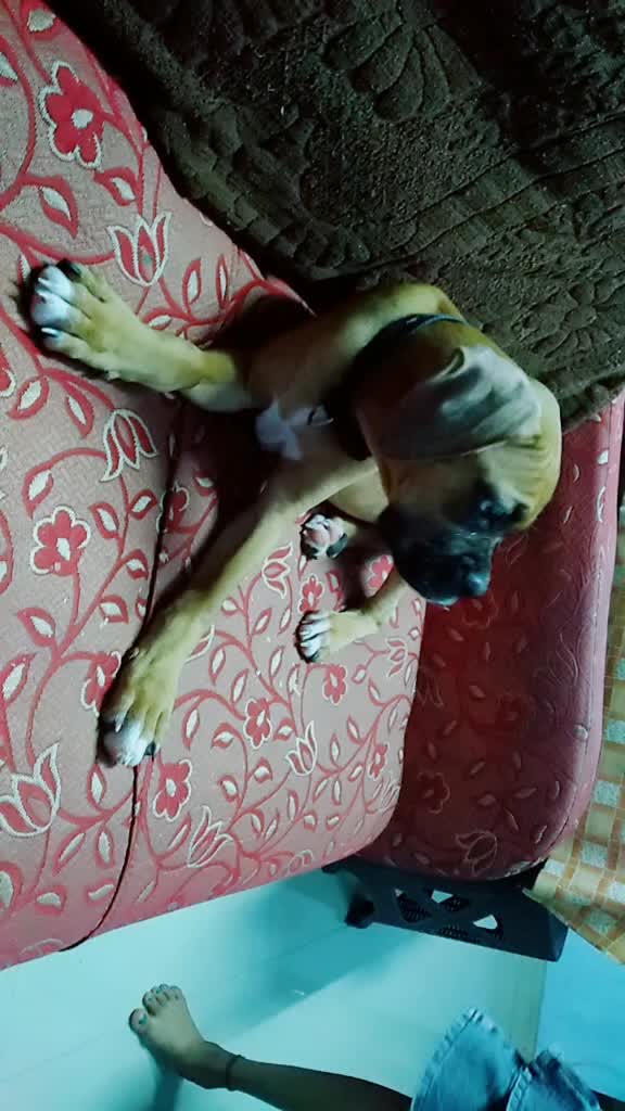 @anumol008