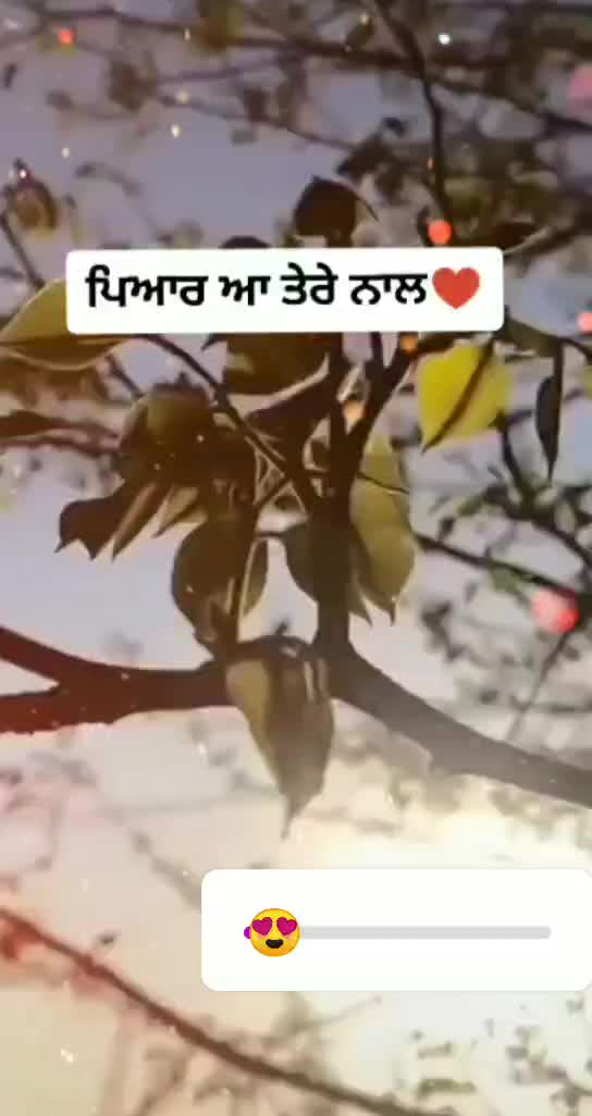 @sandy Sekhon