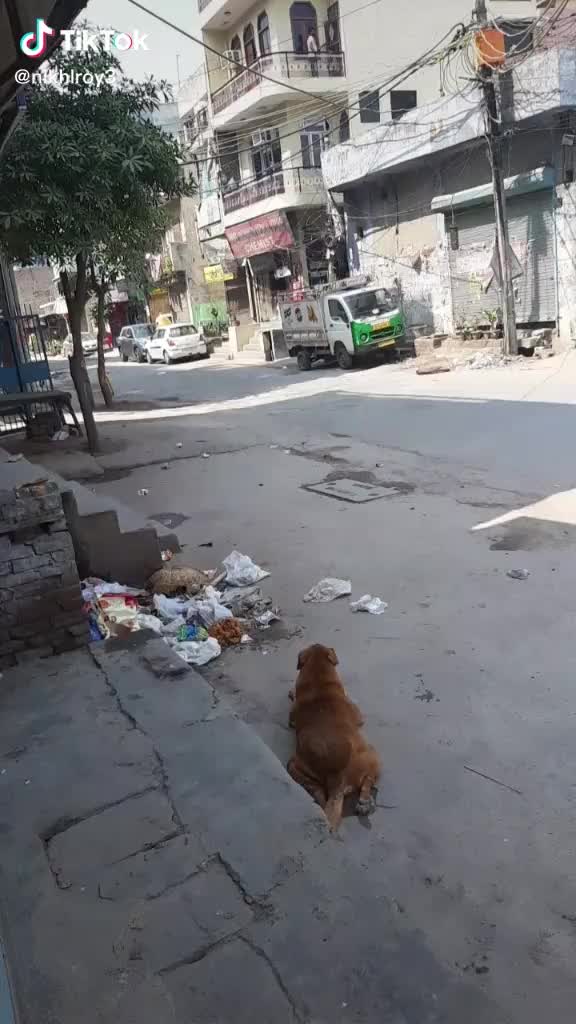 @Gaurav Sharma