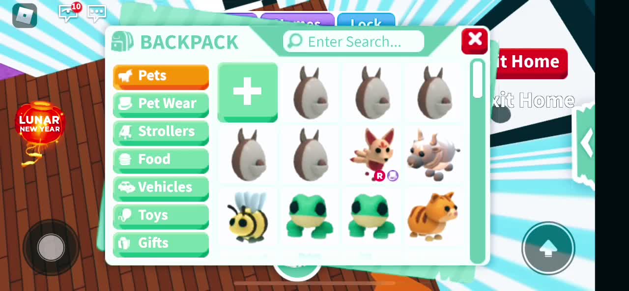 @Rblx user: rosie_rocky1234
