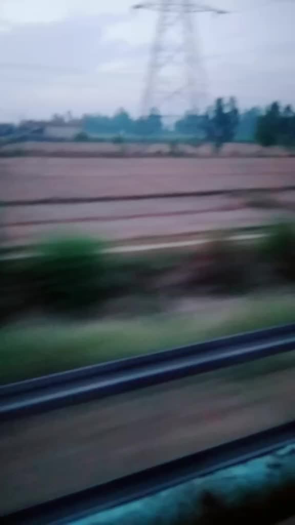 @mustafawalikhann