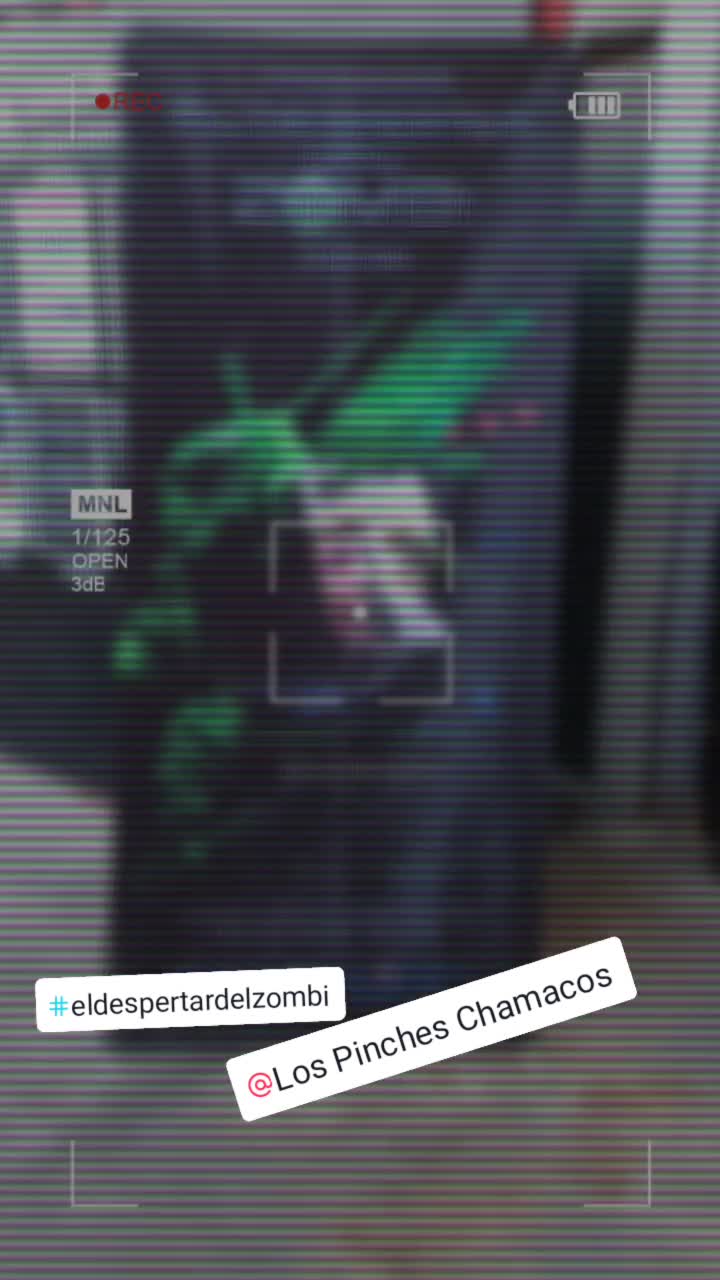 @alfregon69