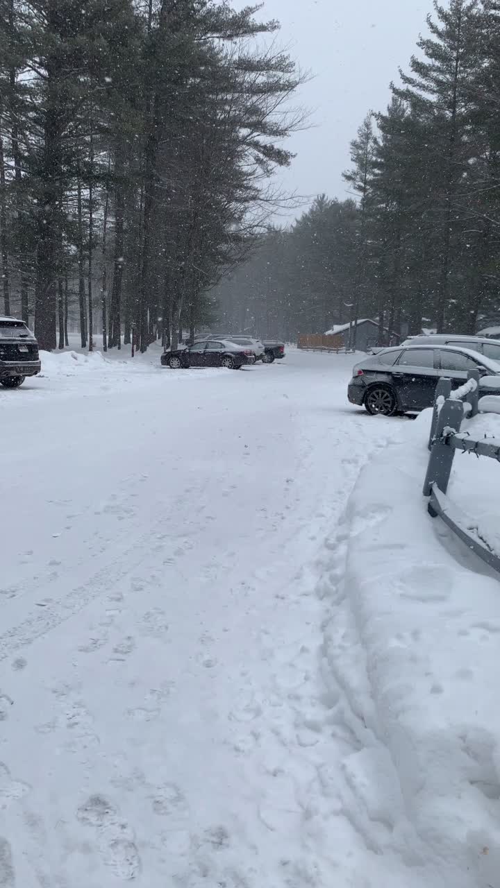 @itschrys.car