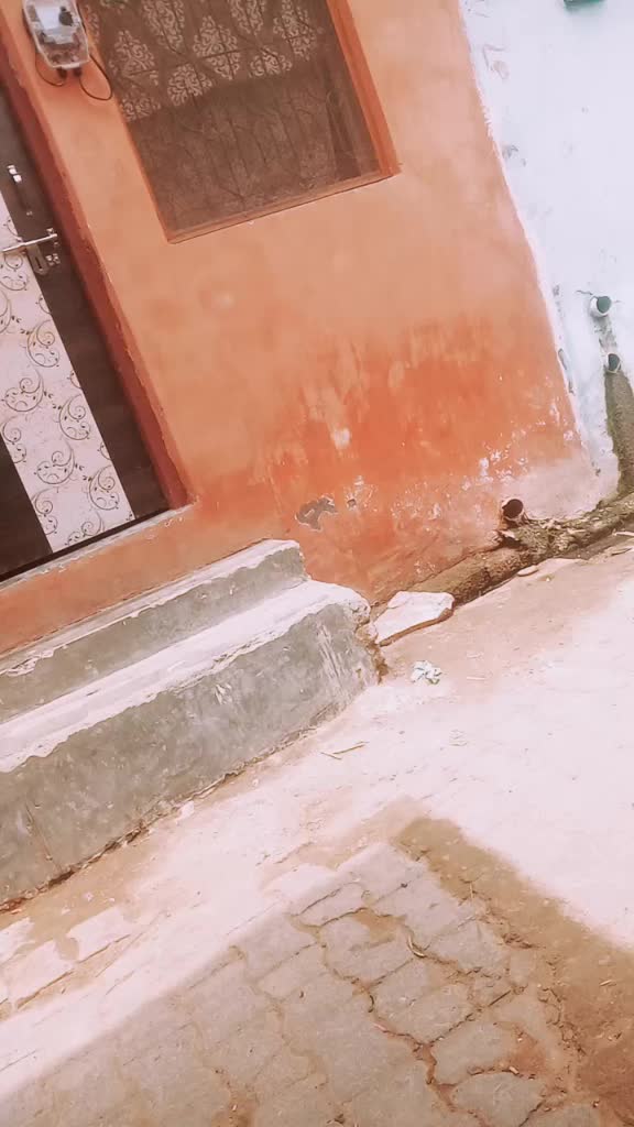 @Tayyab Ali