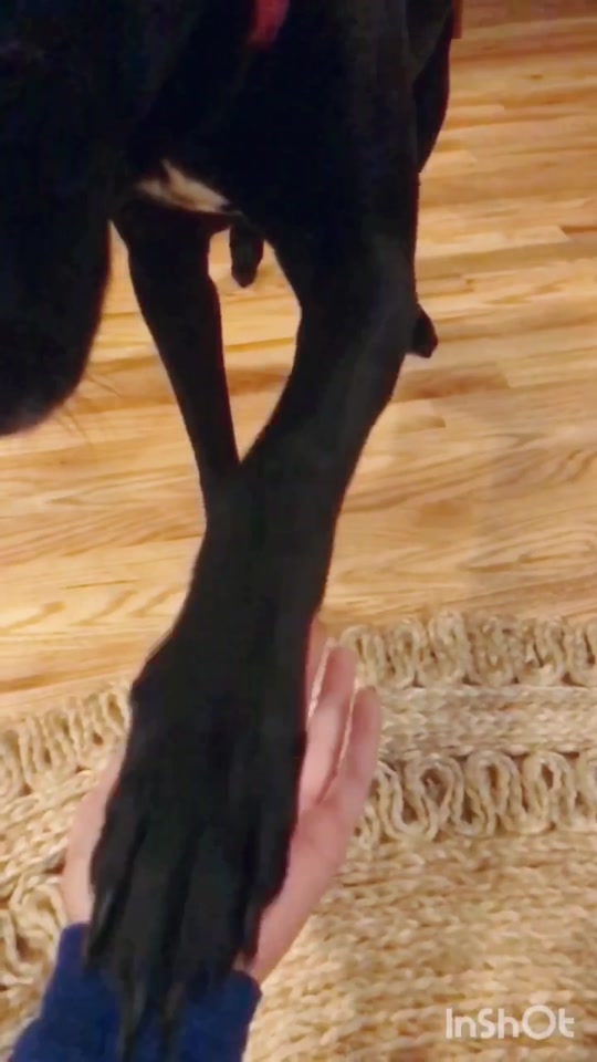 @Cöäl🐶