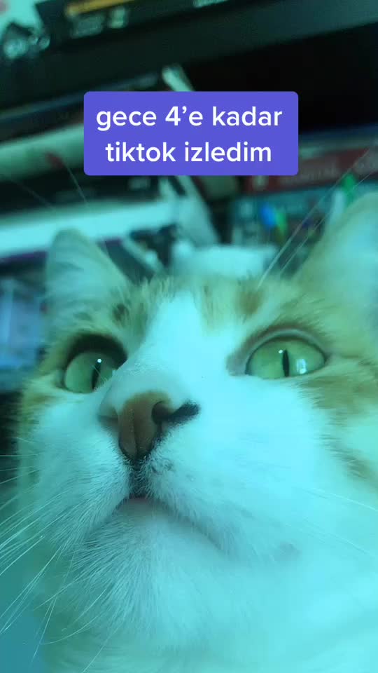 @waterpelon