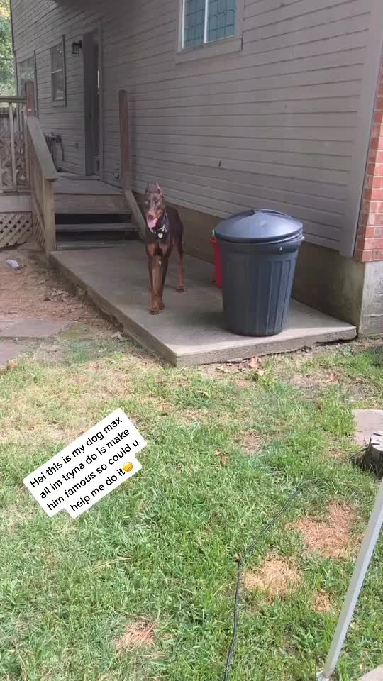 @Max