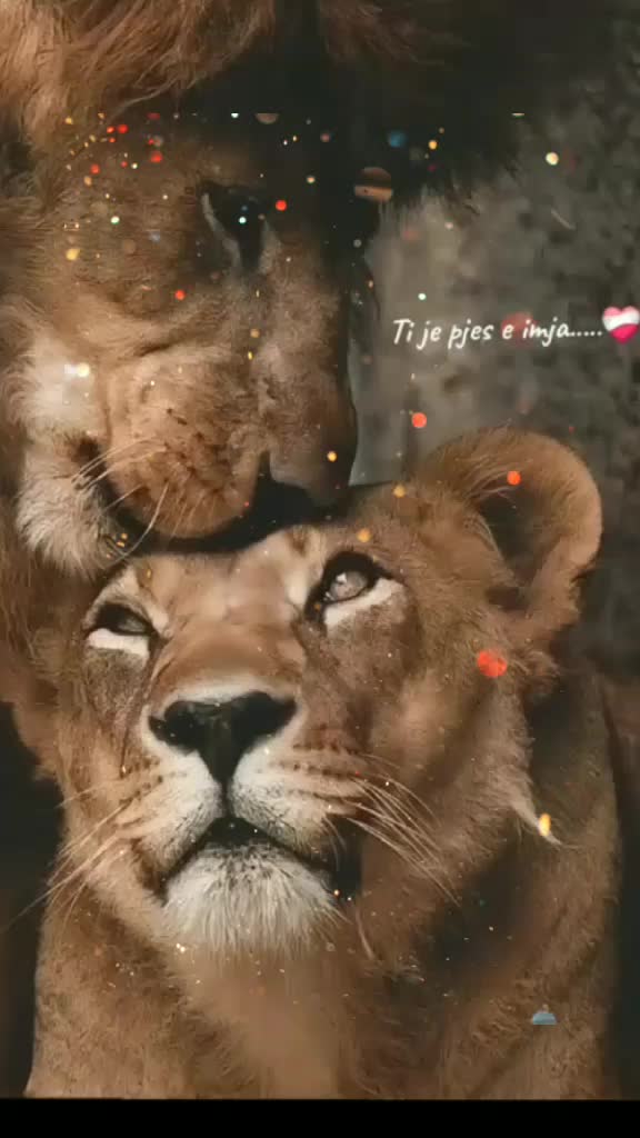 @👸🏽✨
