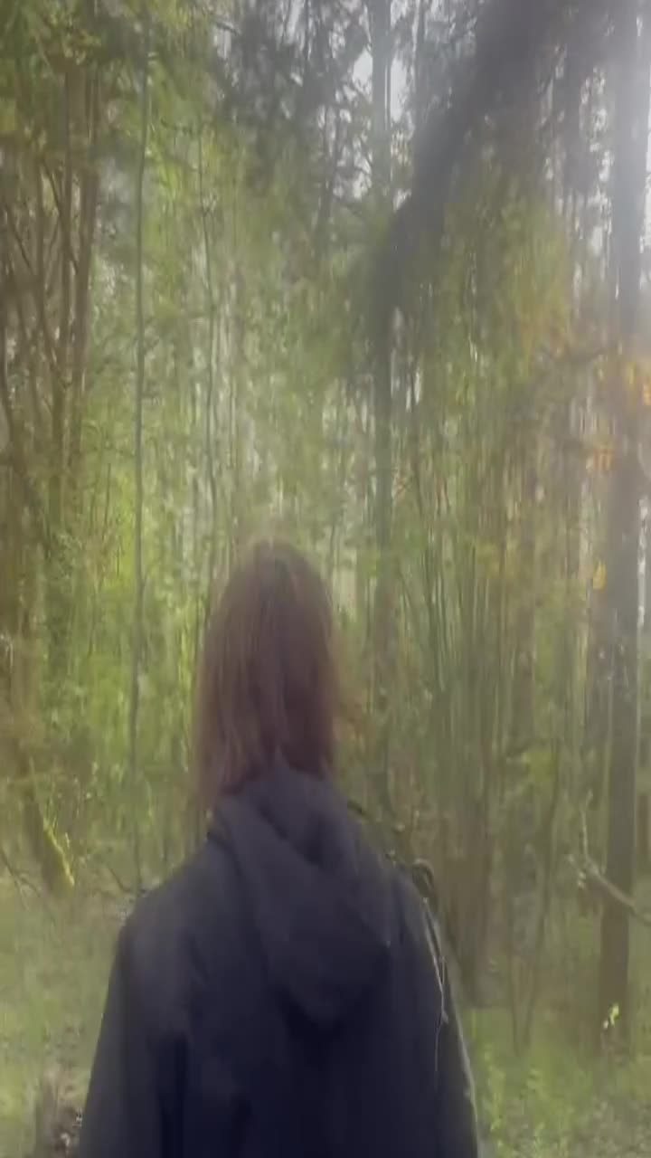 @pulikun