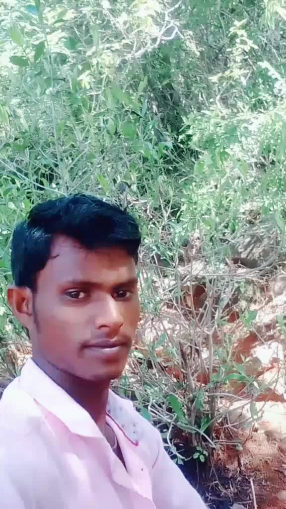 @user9315910886489