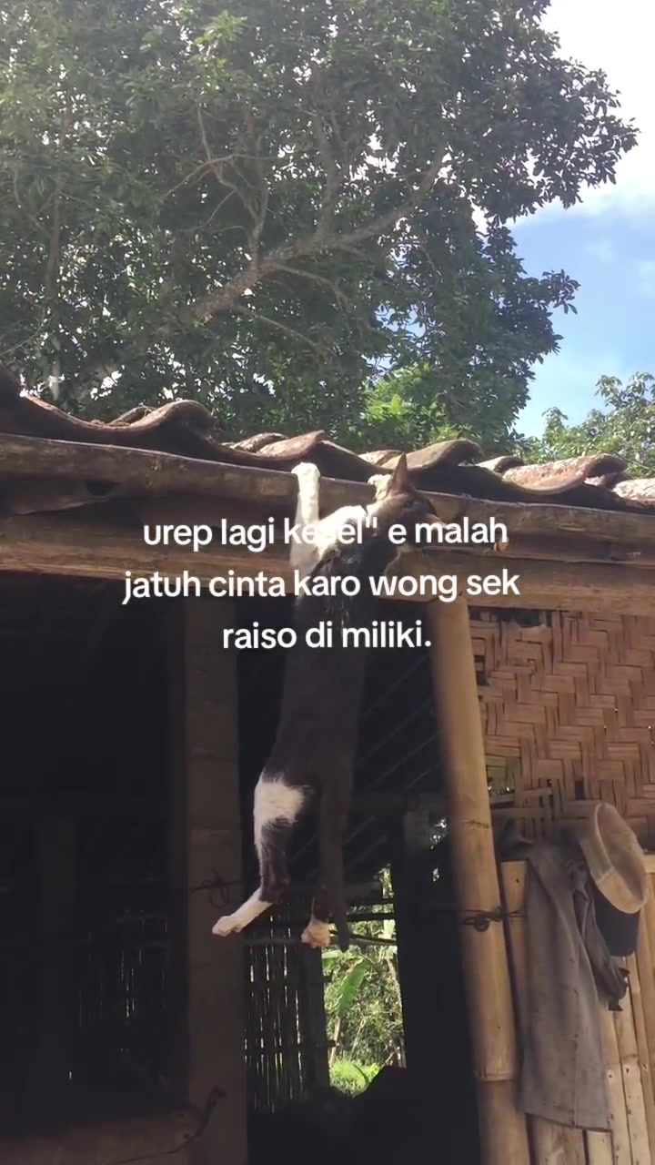 @𝙎𝙀𝙂𝙊𝙉𝘿𝙊𝙂
