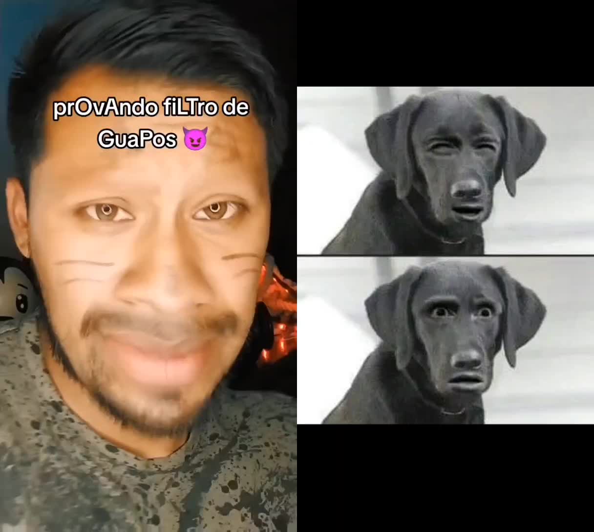 @perrowhat