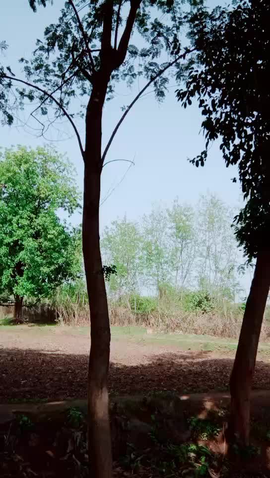 @Raj Singh Ahirwar