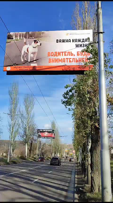 @irina.volik.donetsk.4LAPKI