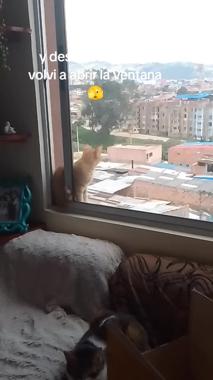 @Lizita Ro