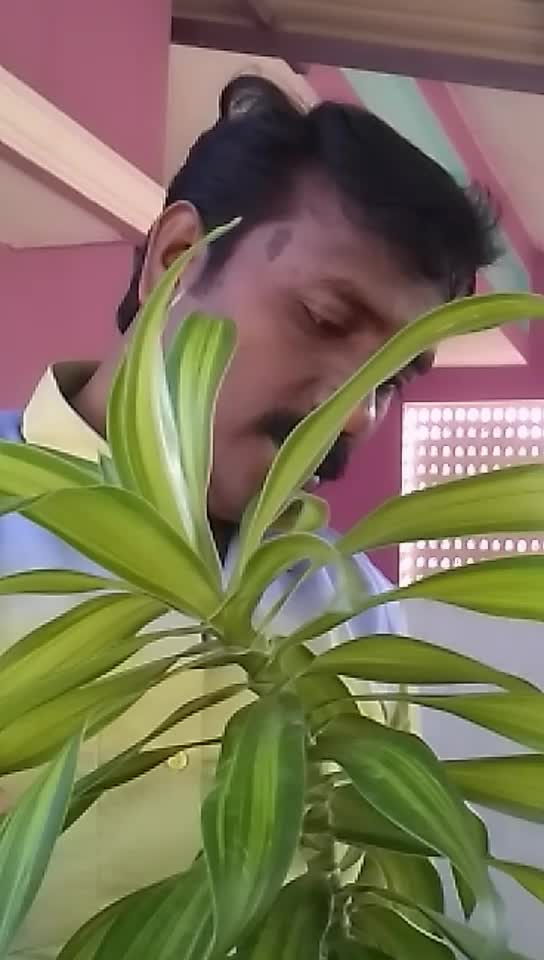 @Kamaraj