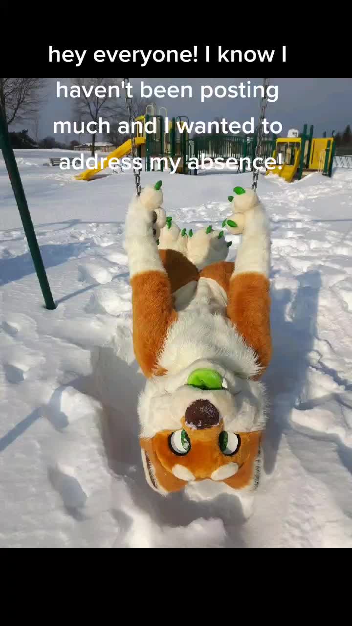 @CookieShiba