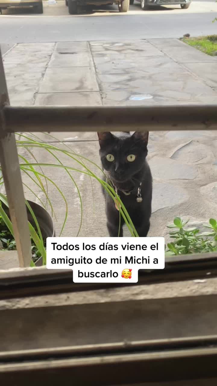 @Marífer Lepiz