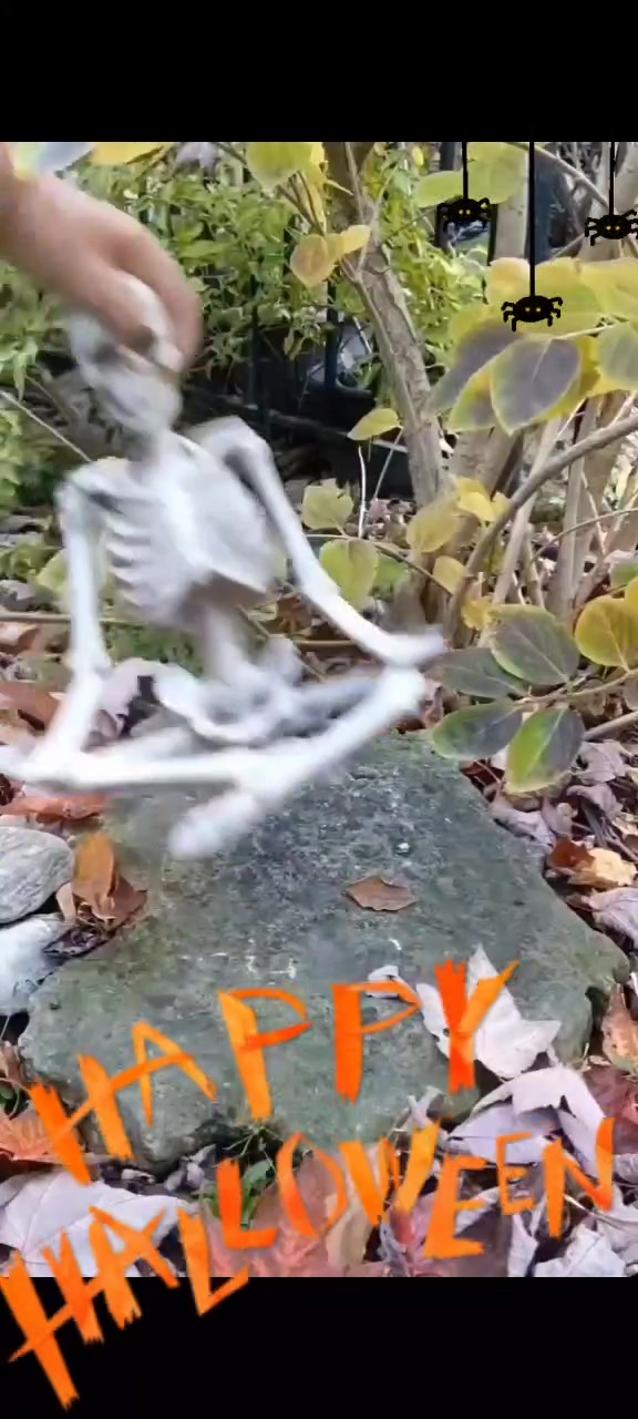 @MrNimster