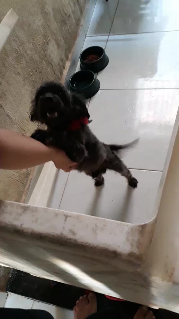 @Henriqueta