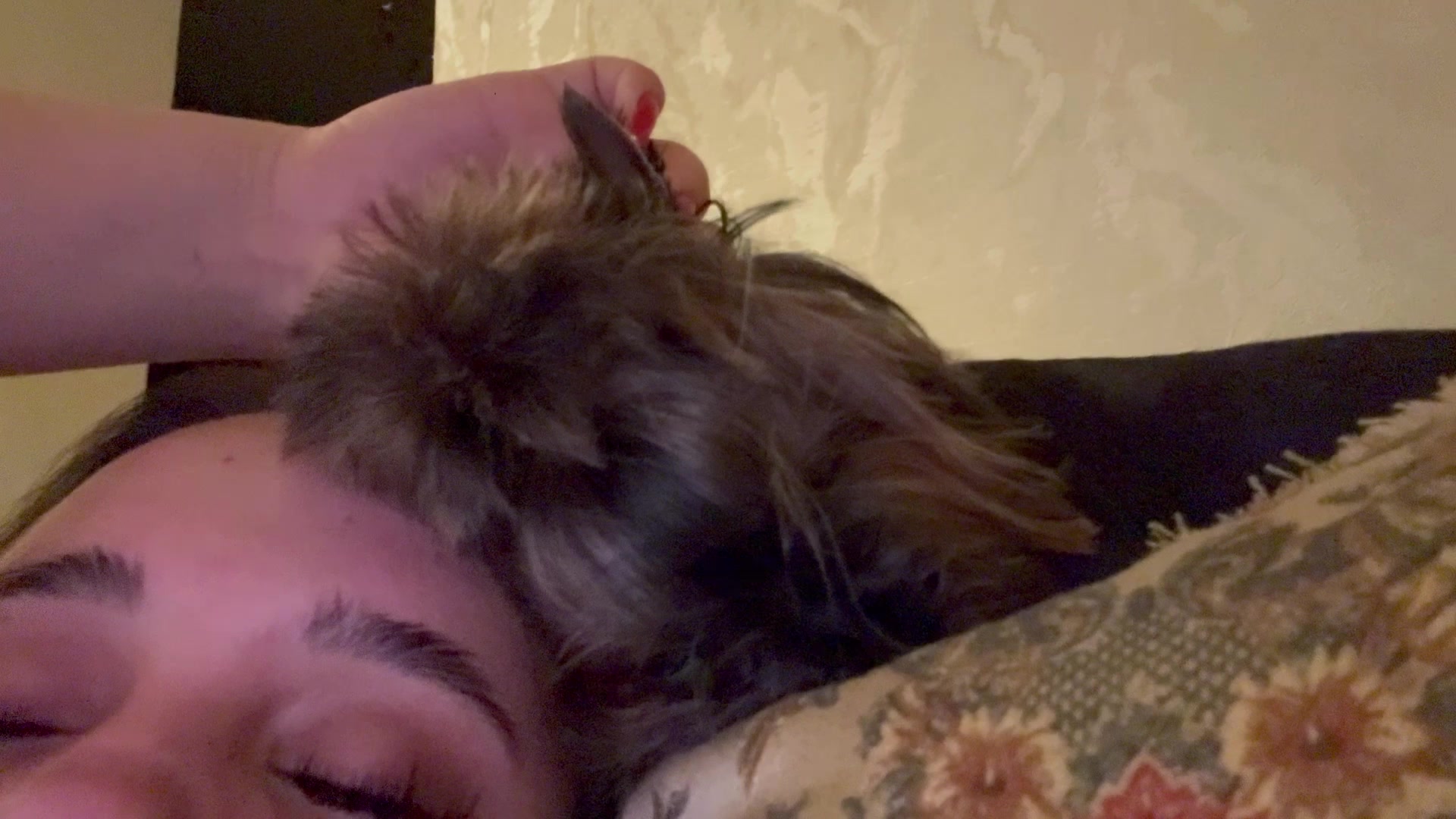 @𝐤𝐚𝐭𝐞𝐫𝐢𝐧𝐚🐈⬛