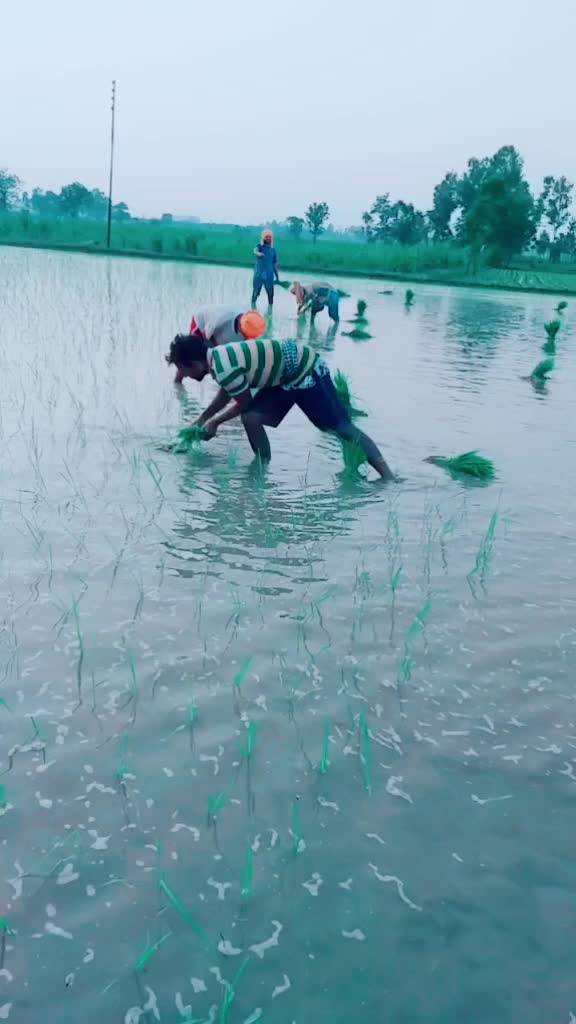 @ਪਰੇਮ ਸਿੰਘ 196