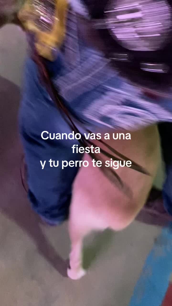 @Yuri