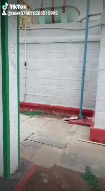 @rahulkiruba