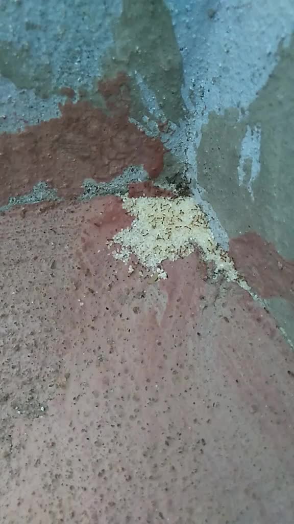 @Maruthu Mani