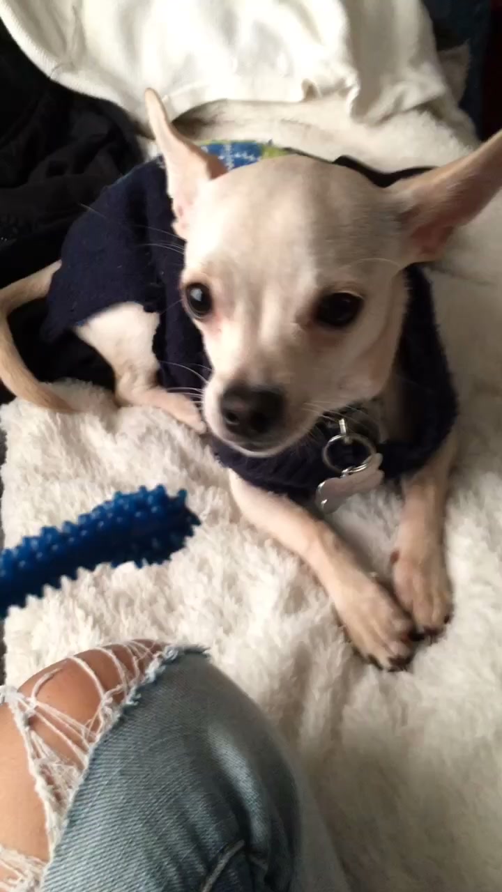 @Rocky🐶and Yuri👩🏻