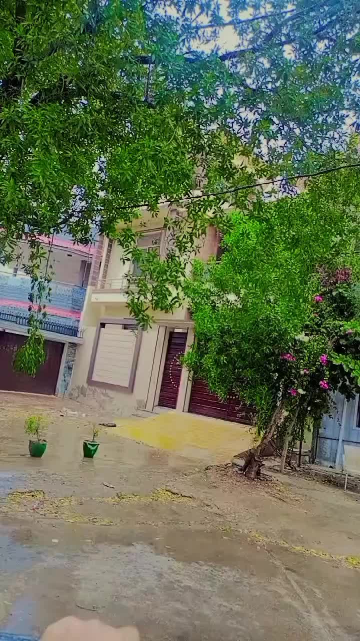 @MrBoss