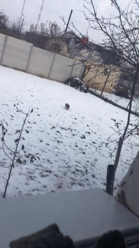 @Евгения