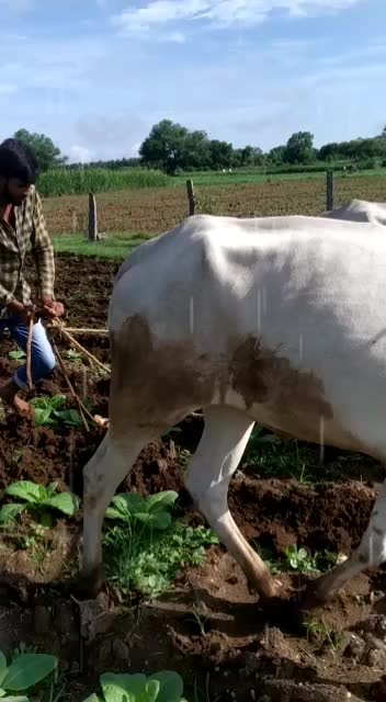 @Prabhu Naidu