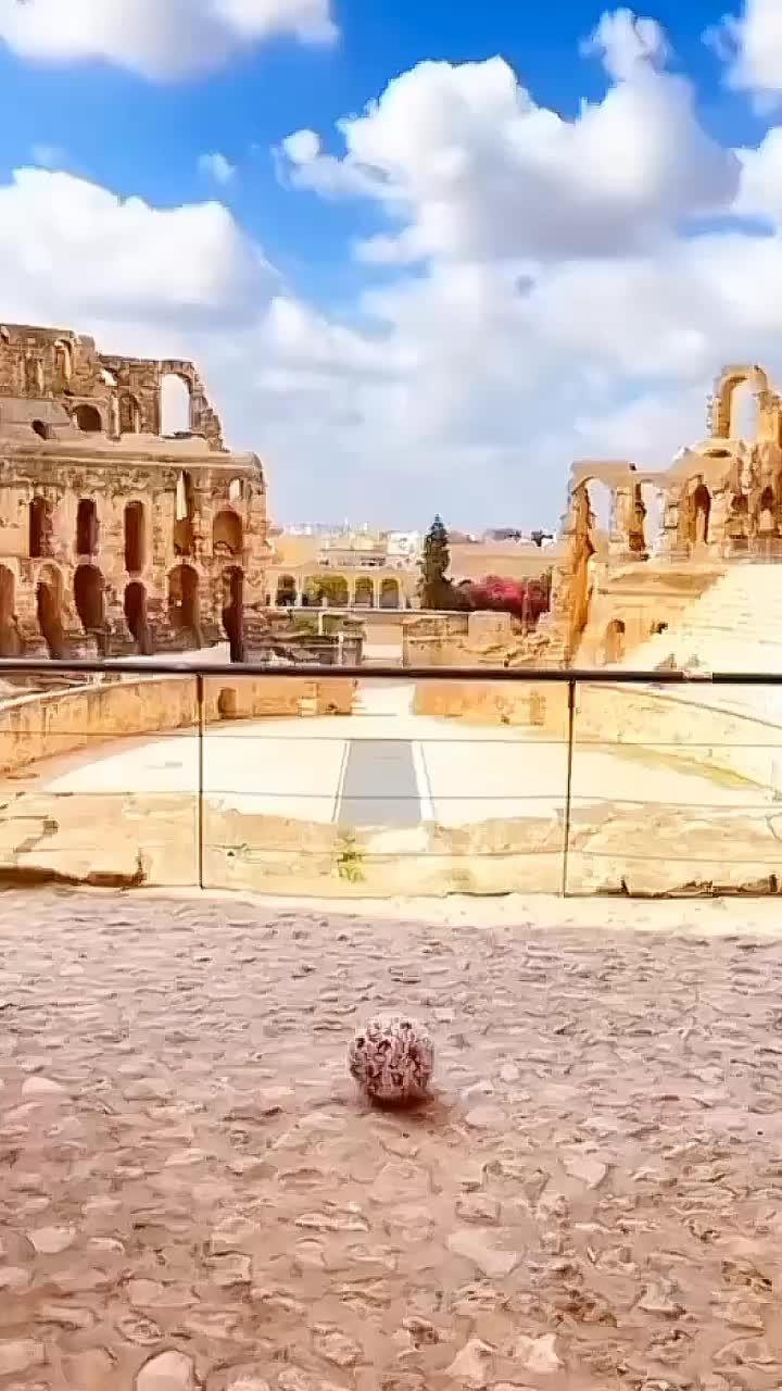 @мясокомбинатище
