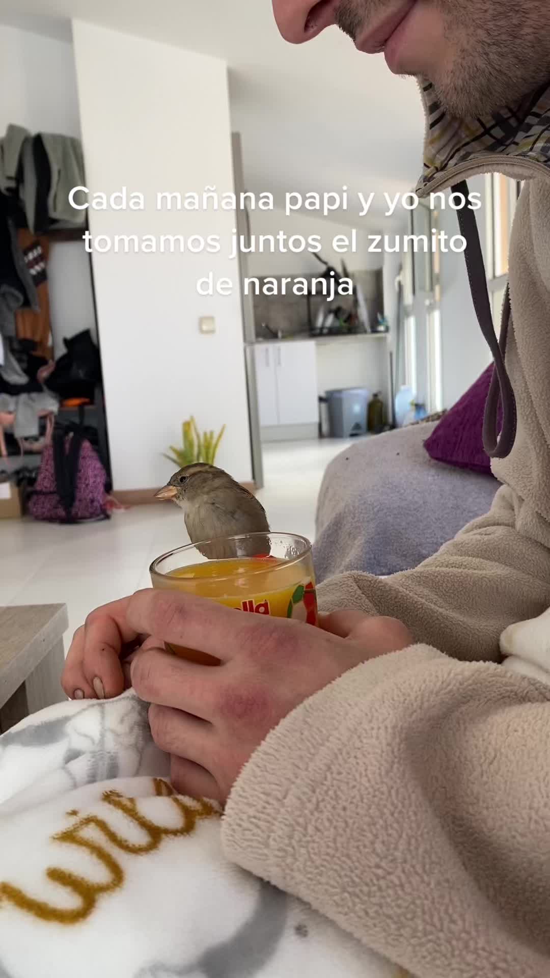 @saravtsmk