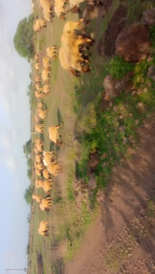 @KAMLESH RABARI