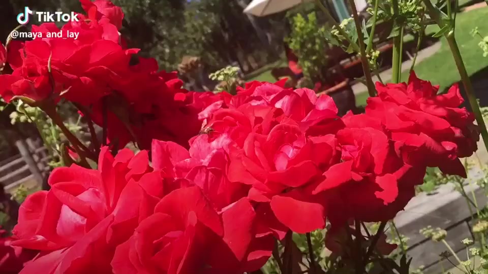 @for you page