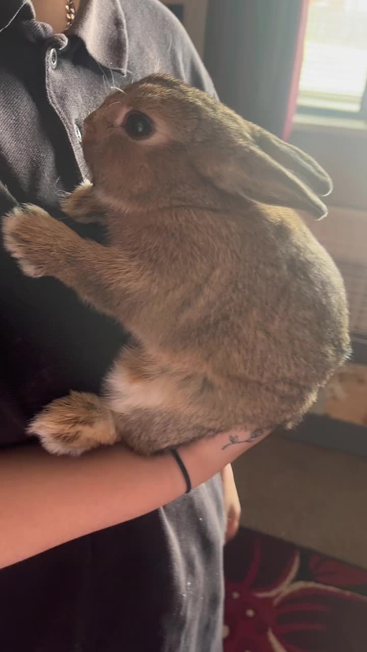 @Bugz_adventures 💙🐰