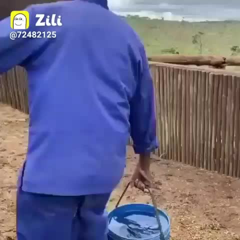 @user309303
