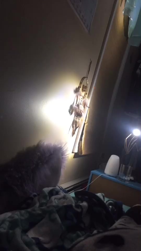 @⋆&sdot; ғ ᴇ ʀ ɴ &sdot;⋆