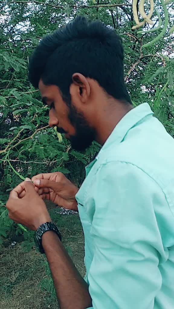 @MYNAR Noor Rock